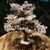 Rose Quartz Gemstone Tree